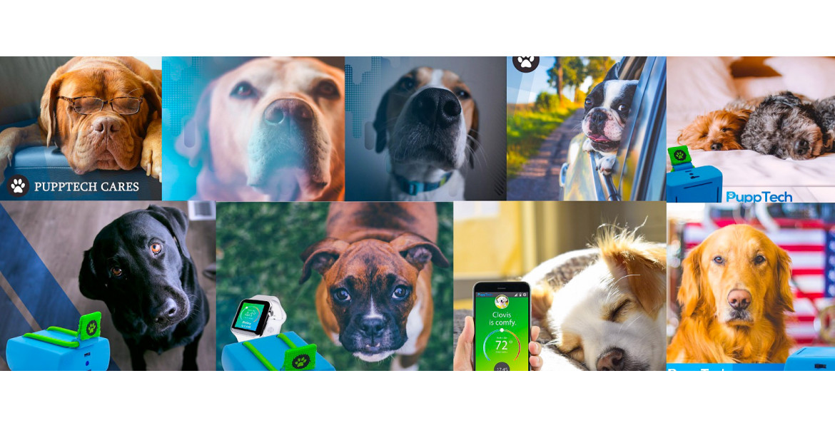 PuppComm - інноваційний пристрій для спостереження за вашим собакою